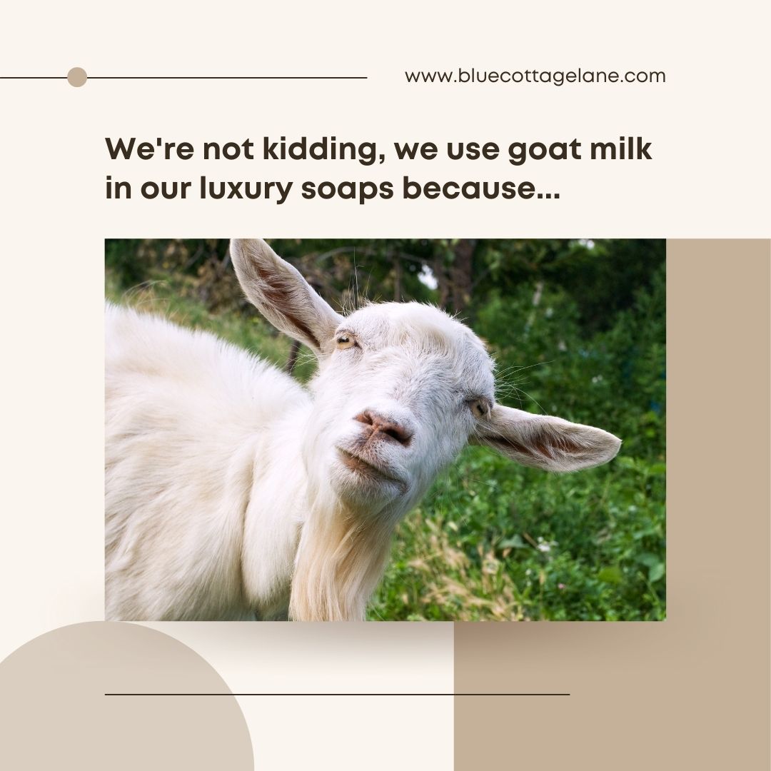 Goat's Milk